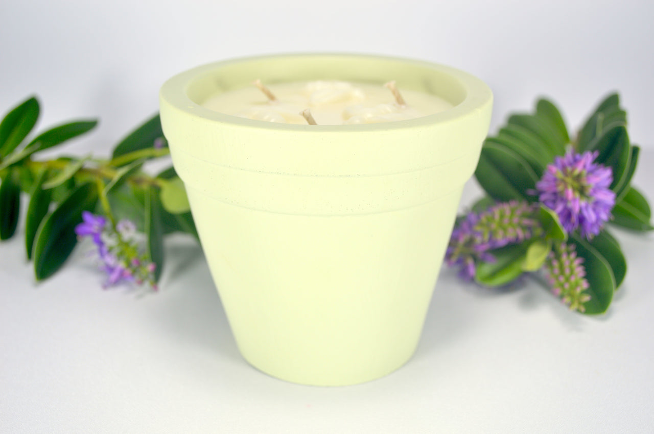 Citronella Candle