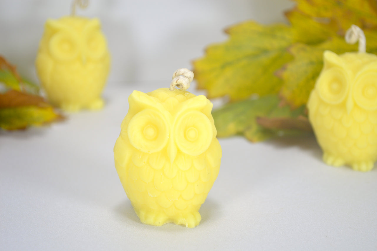 Maple & Elm Owl Candle