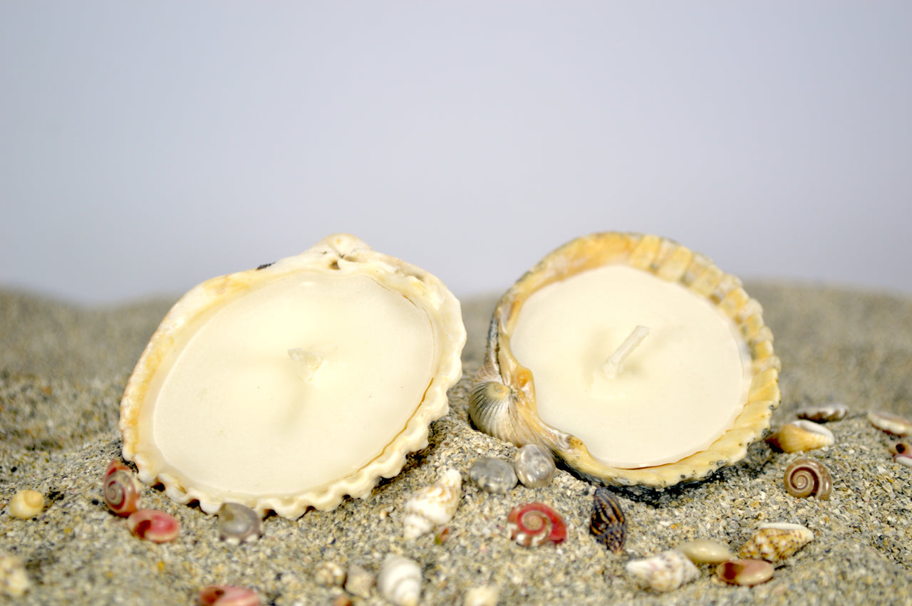 Ocean Waves Shell Candles