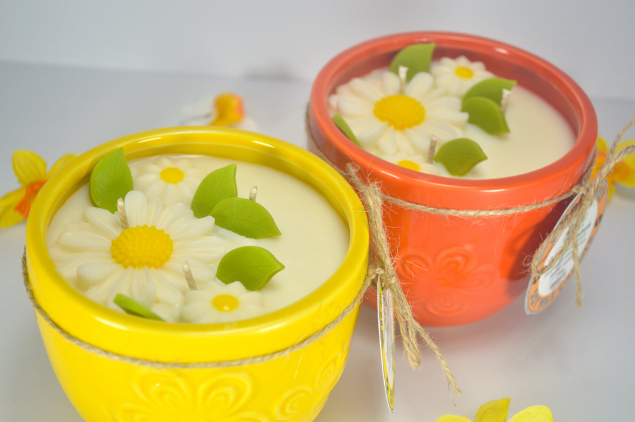 Wild Daisies Candle